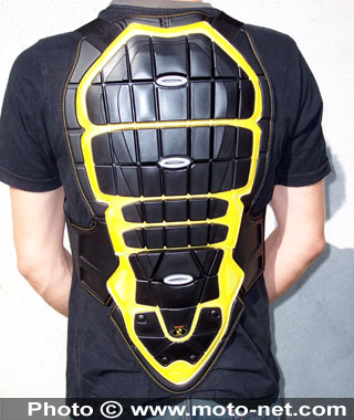 Back&Chest Spidi