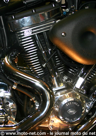 Saxon Henchman, un rebelle dans un marché de niche