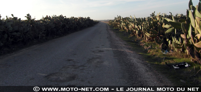 Tunisia Rally Tour 2012 (J2) : le Chevalier comme un prince !