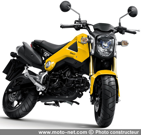 MSX 125, ou quand Honda réinterprète son Dax