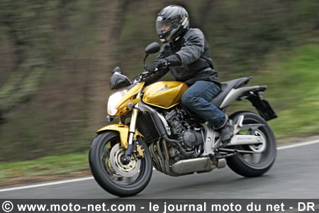 Test Honda Hornet 600 : La Hornet piquée au vif !