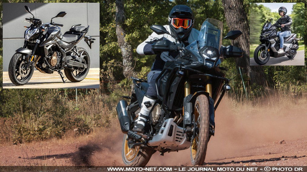 Trail DS800X Rally, roadster R625, scooter SR1 ADV