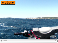 Un moteur, un guidon, une selle... et la mer !