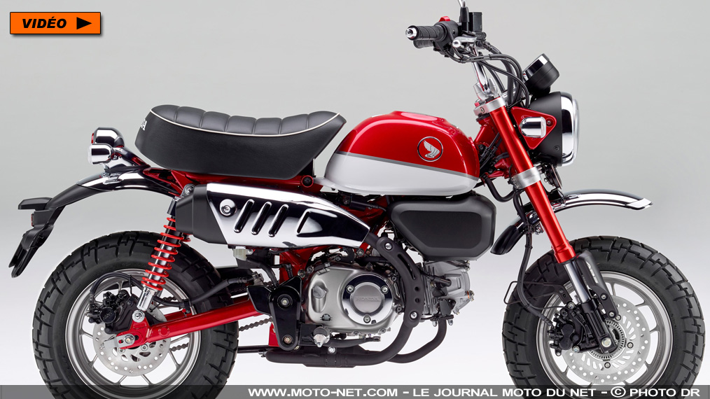 Nouveauté Honda 2018 : back in Monkey business