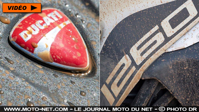 La Ducati Multistrada 1260 Enduro 2019 passe au Testastretta DVT 1262