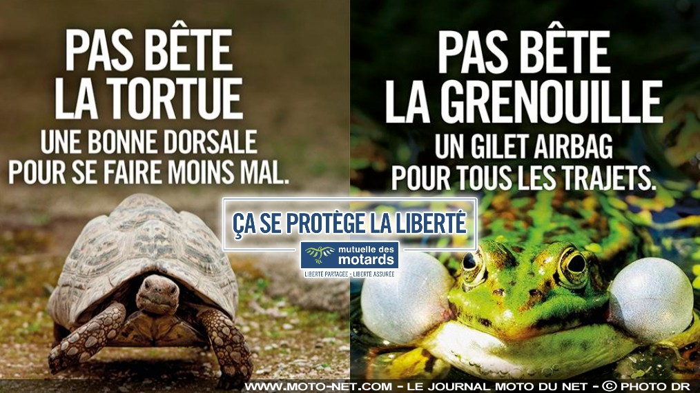 La Mutuelle des motards pas bête sur la prévention