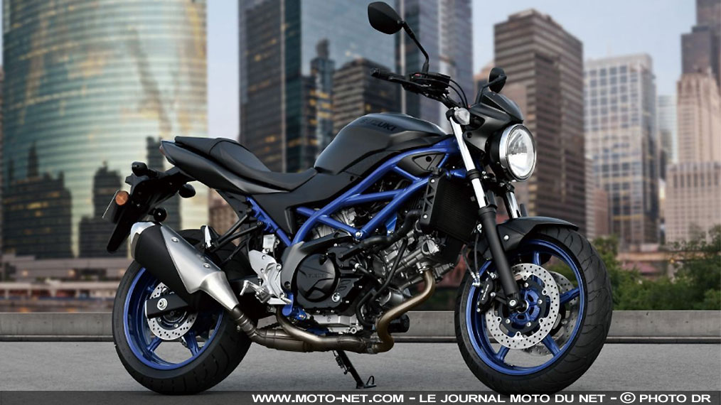 Suzuki SV650 Euro5 2021